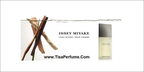 عطر ایسی میاکی لو دیسی پور هوم hn;gk L'Eau d'Issey Pour Homme Issey Miyake