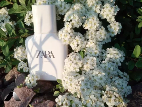 عطر زارا فم 2018 ادوتویلت زنانه