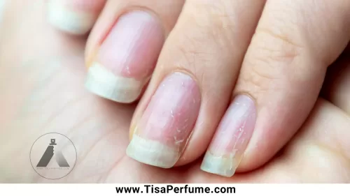 nail healthy-02-tisa برای سلامت ناخن ها چه کنیم ؟