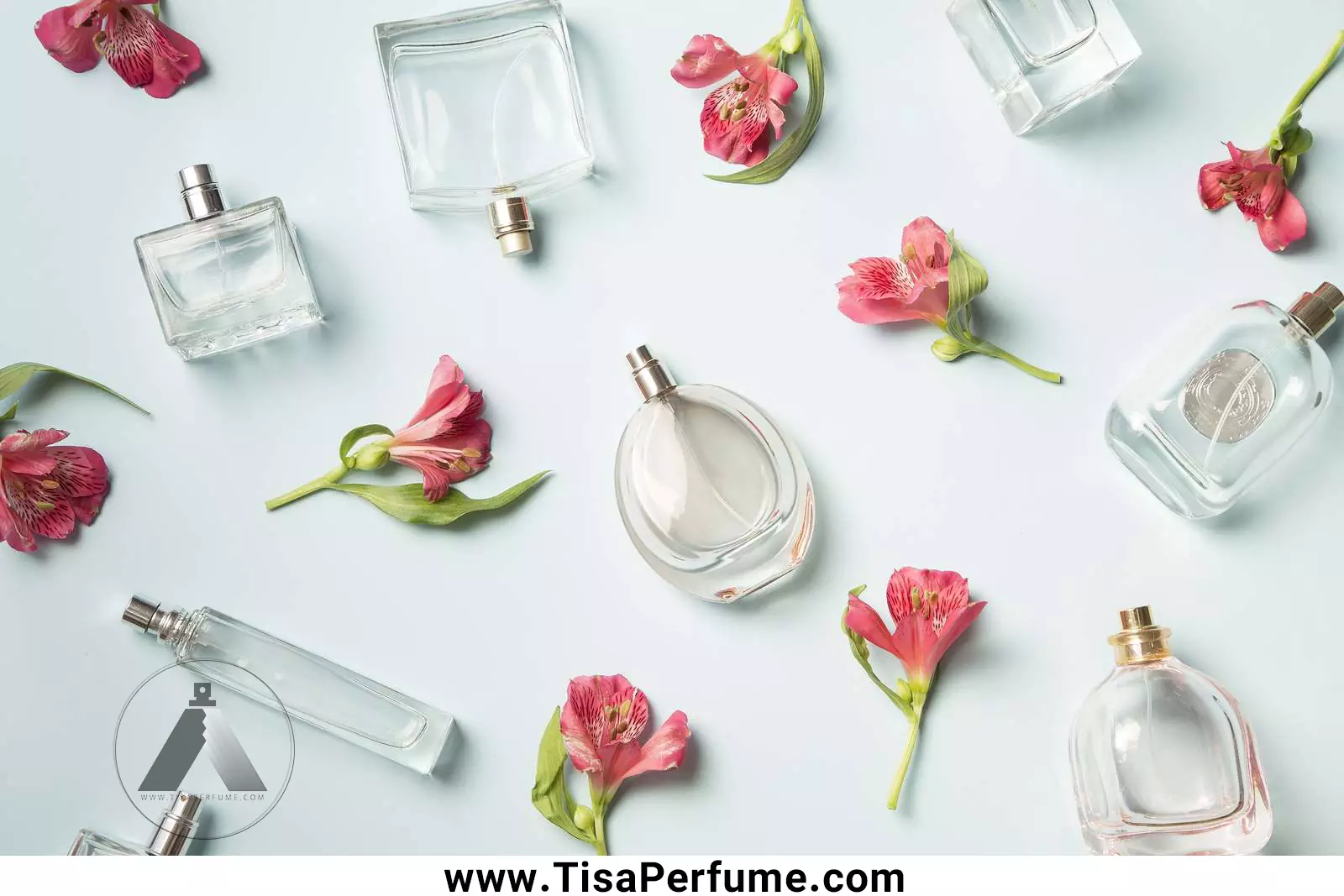 spring perfume tisa -1 انتخاب عطر بهاری