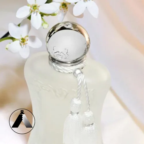 عطر والایا پرفیوم دمارلی زنانه تیسا عطر والایا پرفیوم دمارلی زنانه